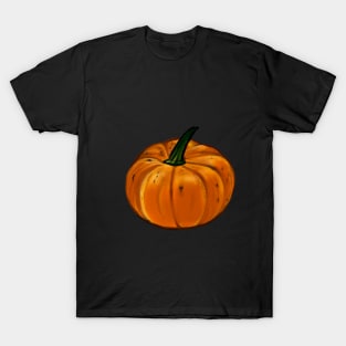 Pumpkin in Autumn T-Shirt